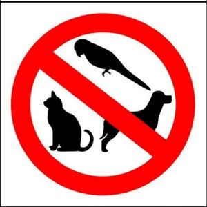 Pet free, Smoke free Home